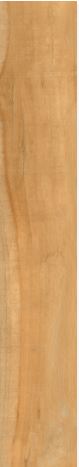 New Acacia Plus tile