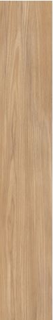 New Pinus tile