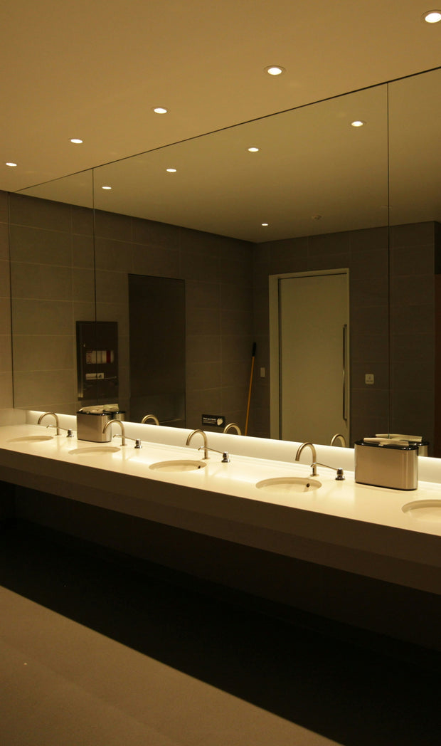 <h3>Commercial Bathrooms</h3>